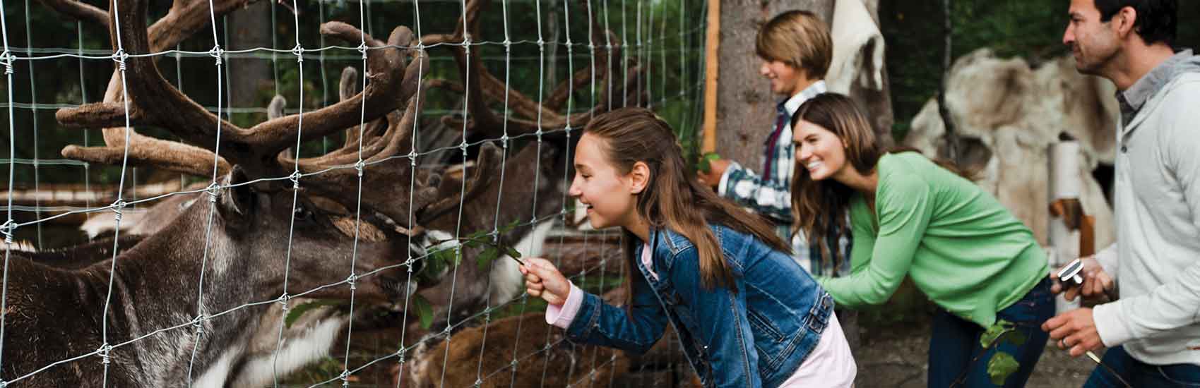 Exclusive Pop-Up Sale With Celebrity Cruises 2