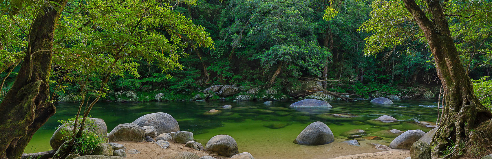 Explore Queensland: Gold Coast to Port Douglas 5