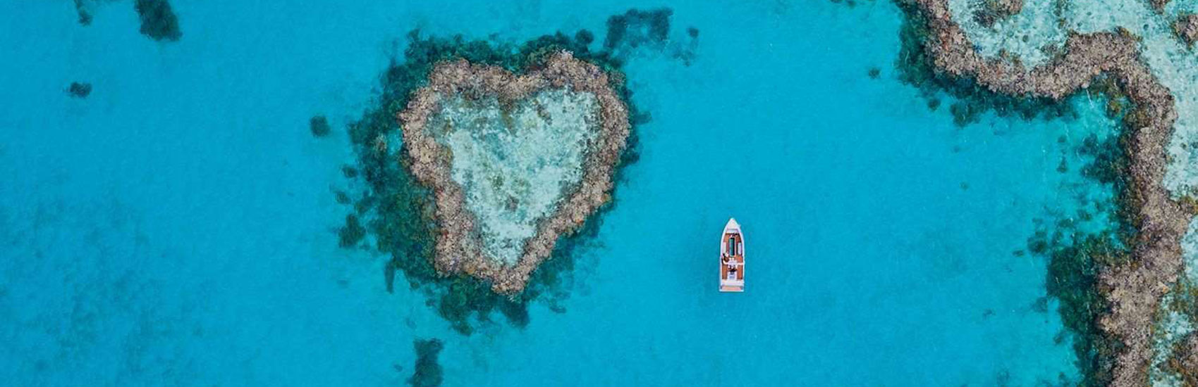 qualia, Great Barrier Reef 5