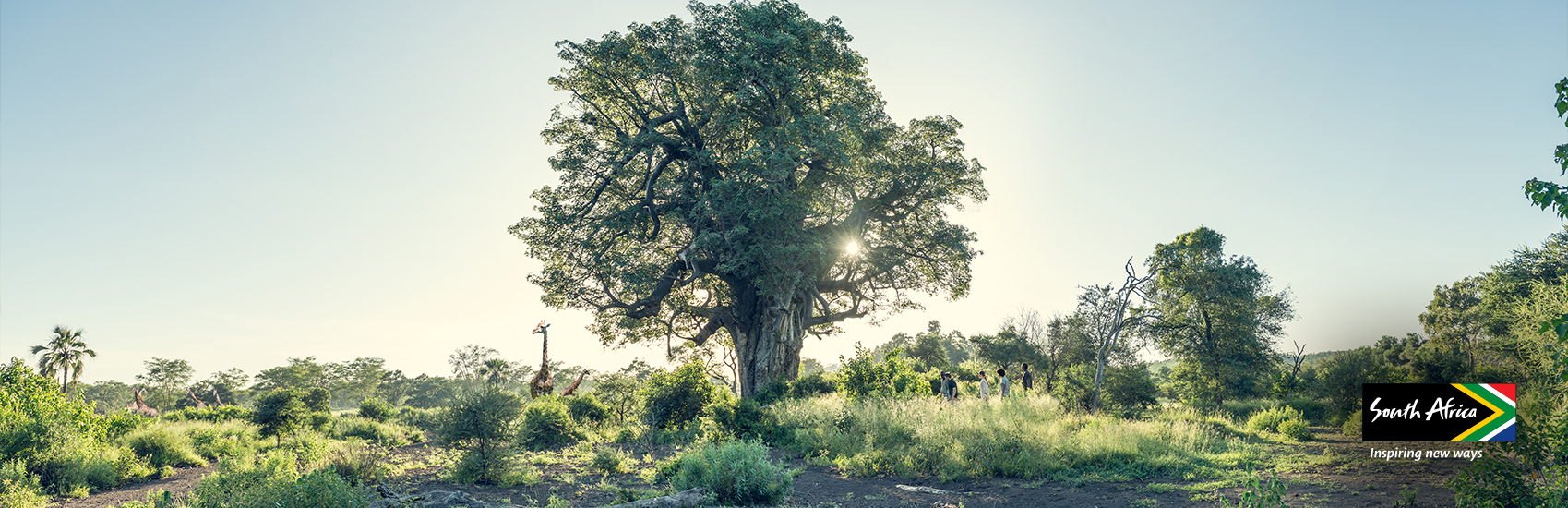 Wildlife Adventures in South Africa