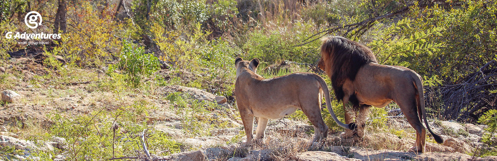 ADVENTURES UNLEASHED: Explore South Africa with G Adventures 2