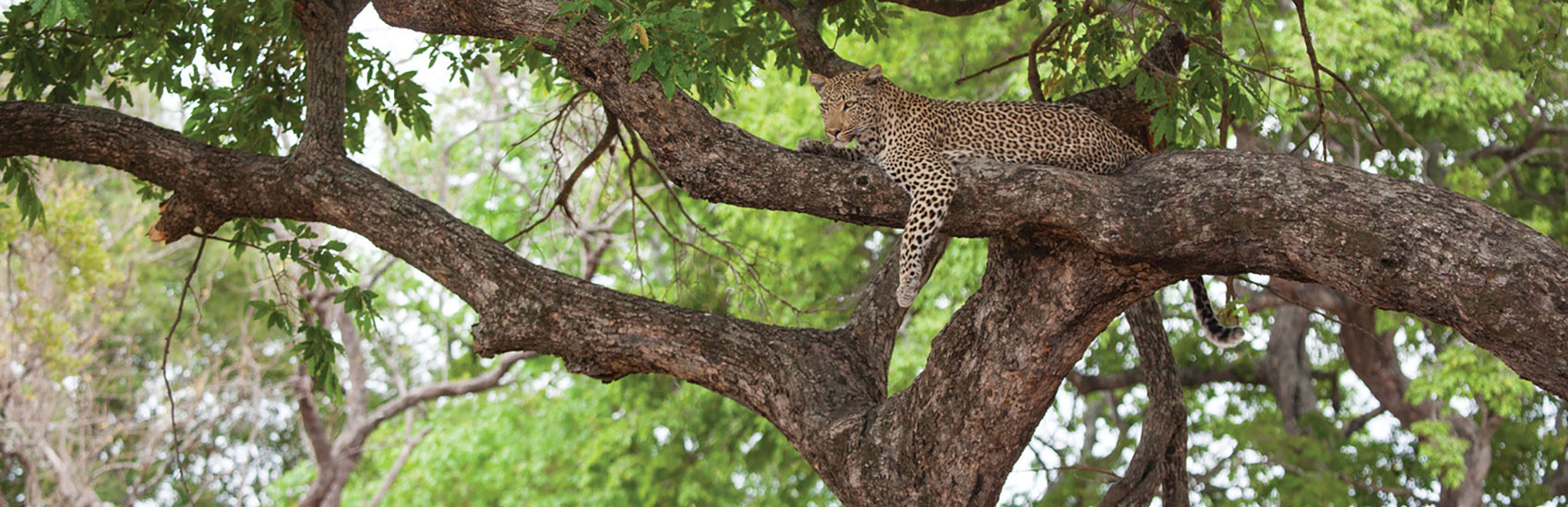 GO GUIDED: Exclusive Savings Offer to South Africa with Globus 1