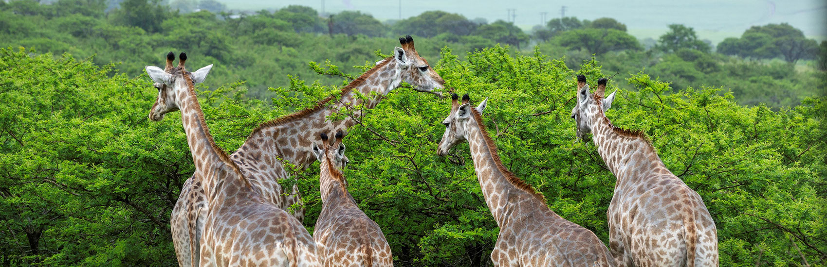 EXPLORE BY SEA: Embark on a journey of discovery with Azamara Cruises 5