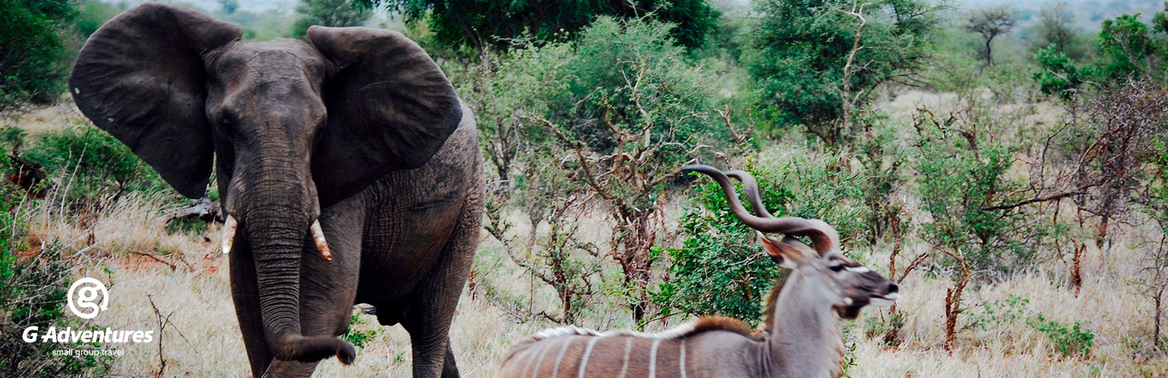 ADVENTURES UNLEASHED: Explore South Africa with G Adventures 4