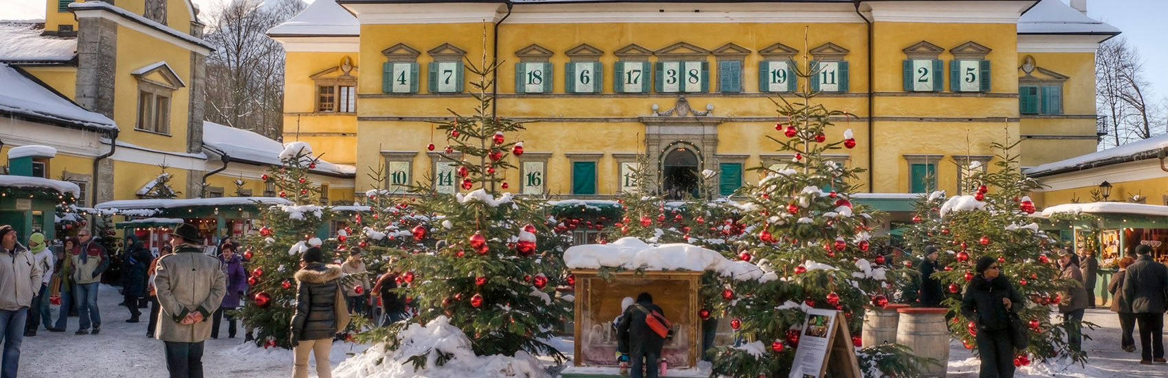 Embrace the Holiday Season with Viking® 1