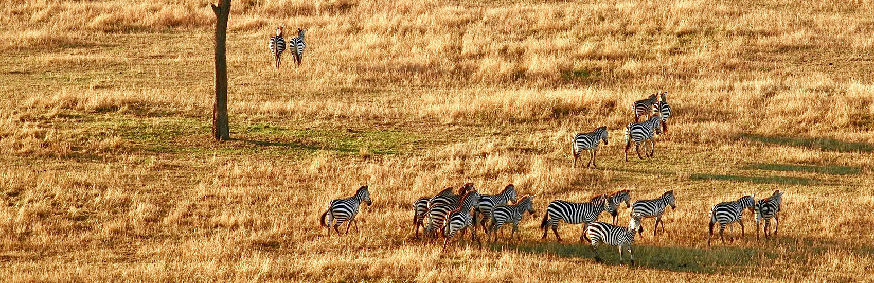 Explore Africa in Style with Abercrombie & Kent 3