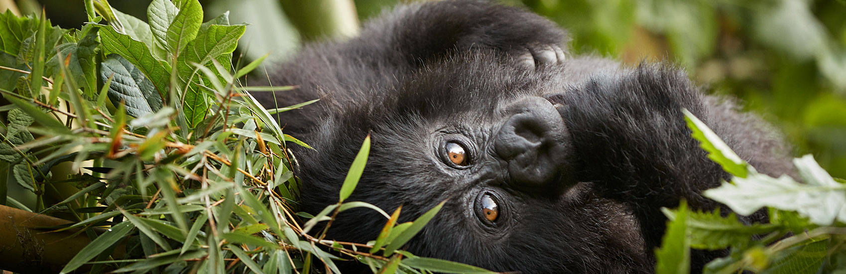 TCS World Travel: Jet Expeditions for the Moments That Matter Most 5