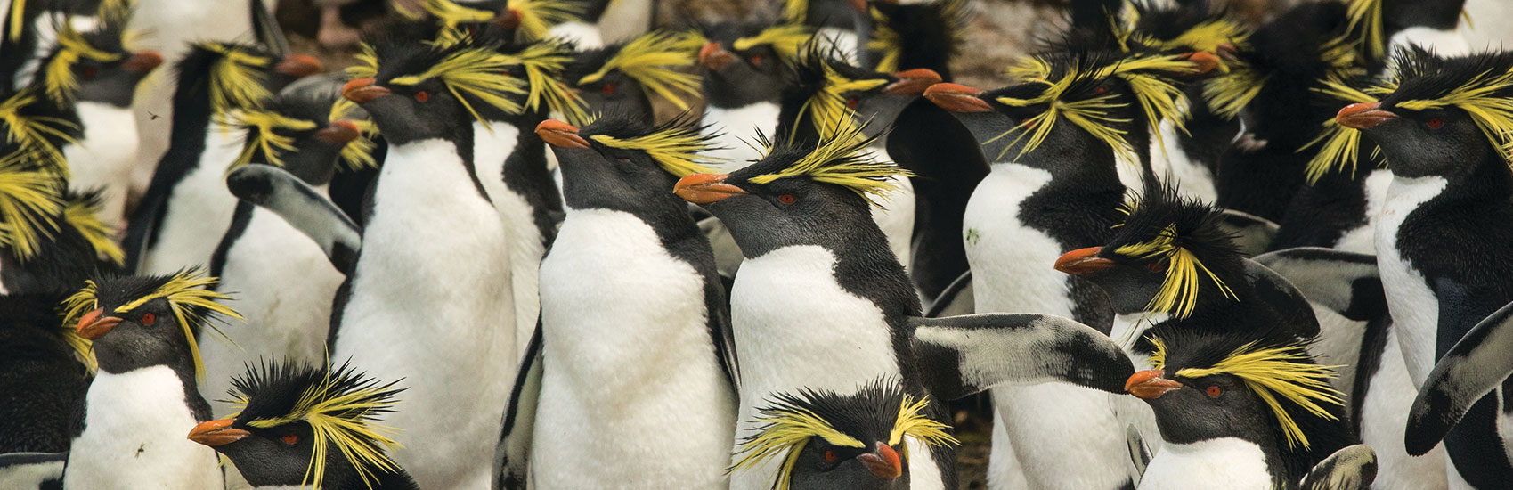 Discover more with Silversea Shore Excursions 1
