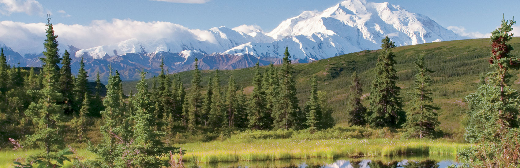 Have It All in Alaska with Holland America's Early Booking Bonus 5