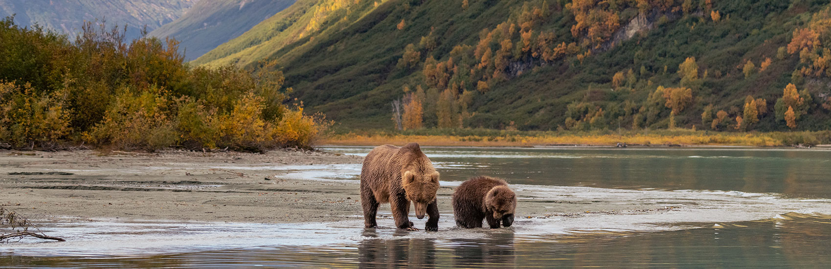 Have It All in Alaska with Holland America's Early Booking Bonus 3