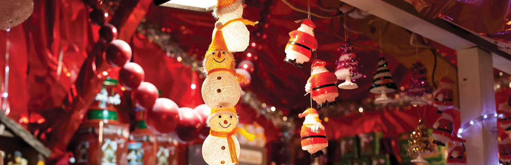 Embrace the Holiday Season with Viking® 4
