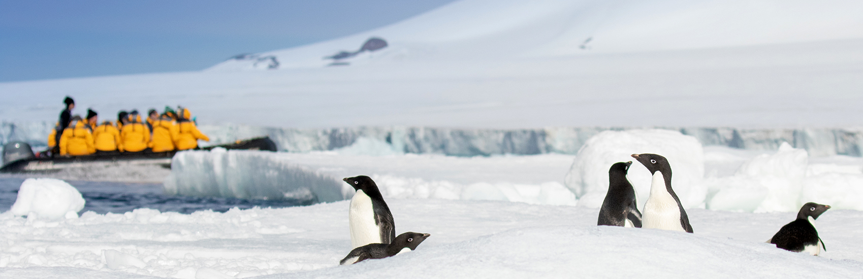 Best Time to Visit Antarctica with Quark Expeditions 0