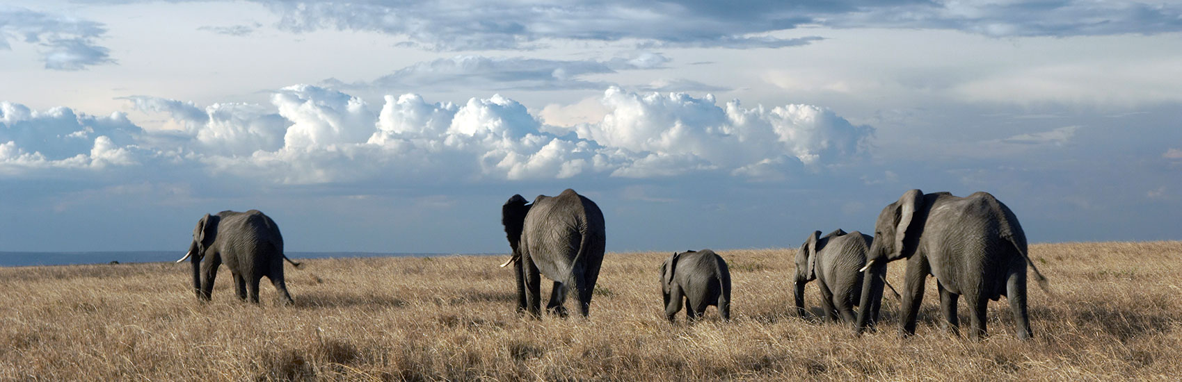 Explore Africa in Style with Abercrombie & Kent