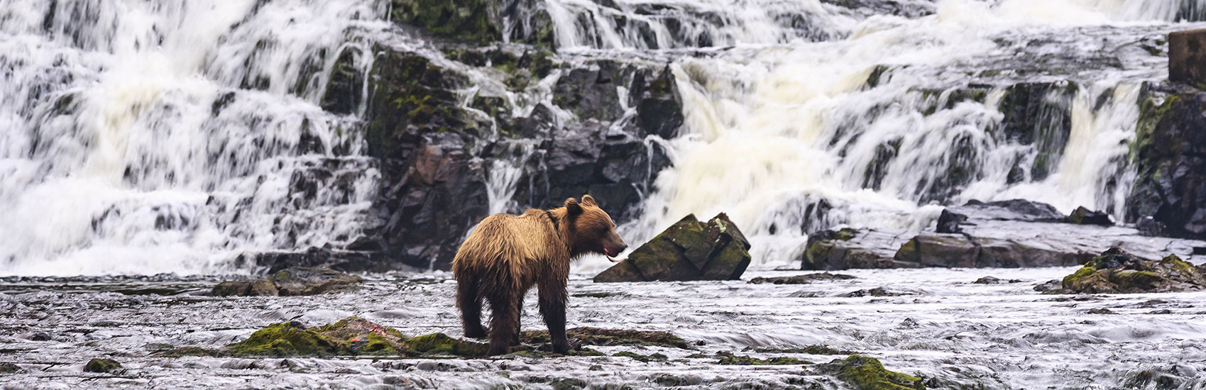 Oceania Cruises Shore Excursions 4