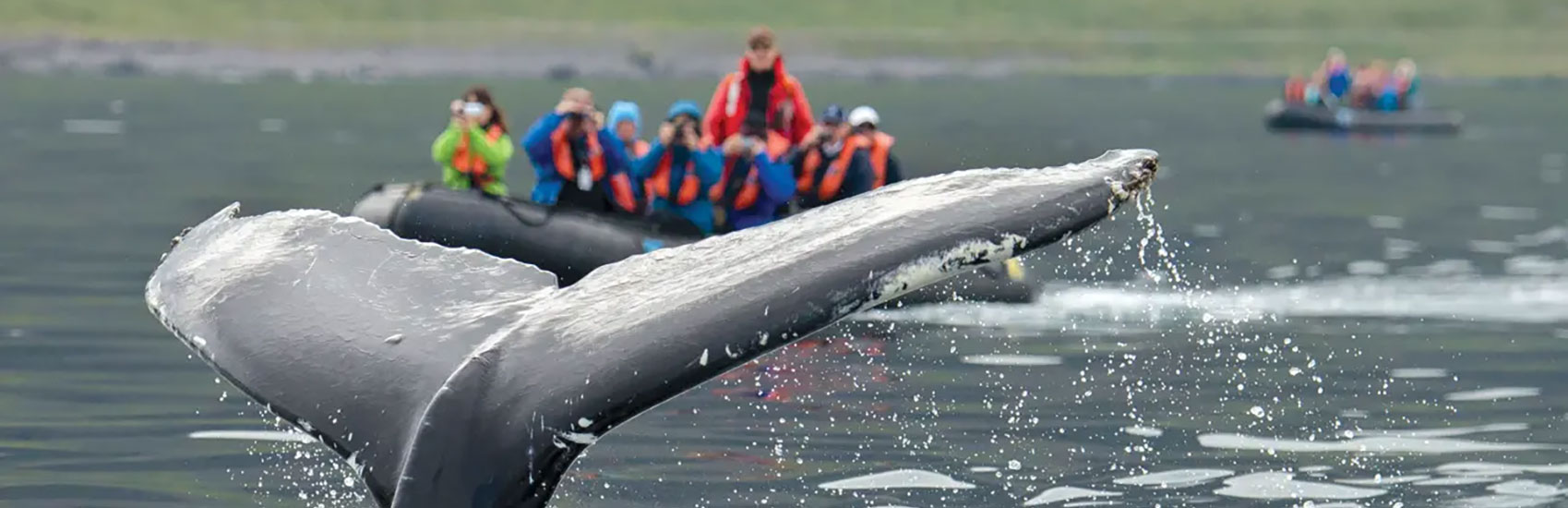 7 Immersive Activities for Young Explorers in Iceland 3