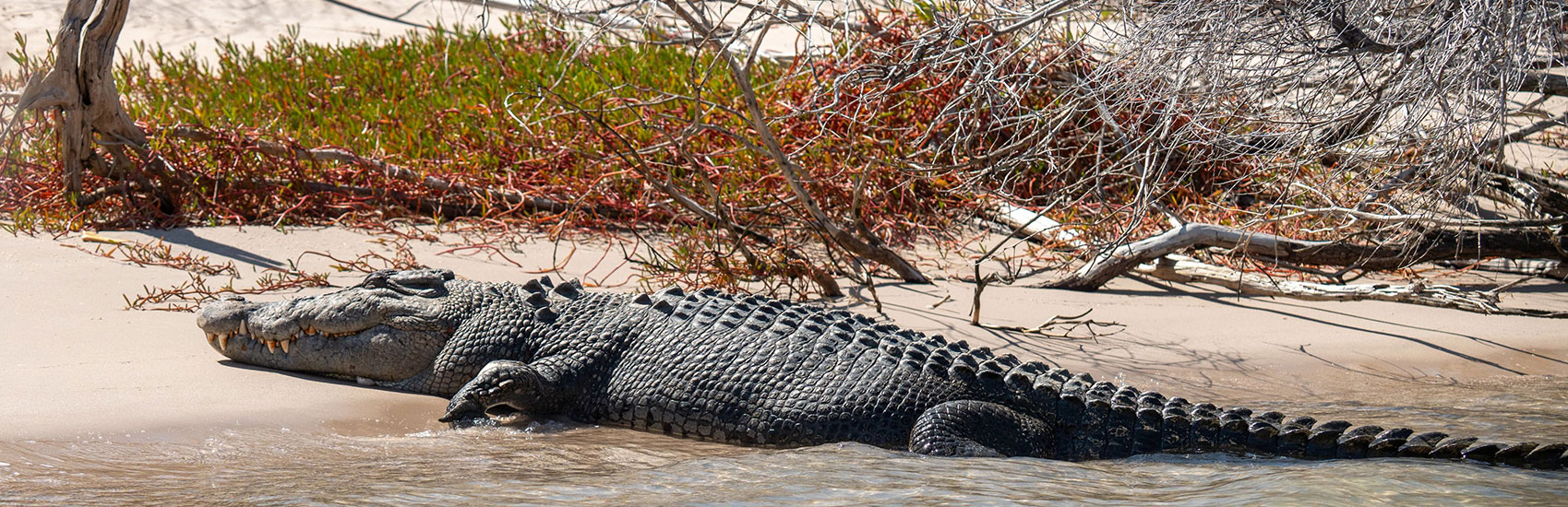 Emerging Destinations: Discovering Antarctica and The Kimberley with Seabourn 4