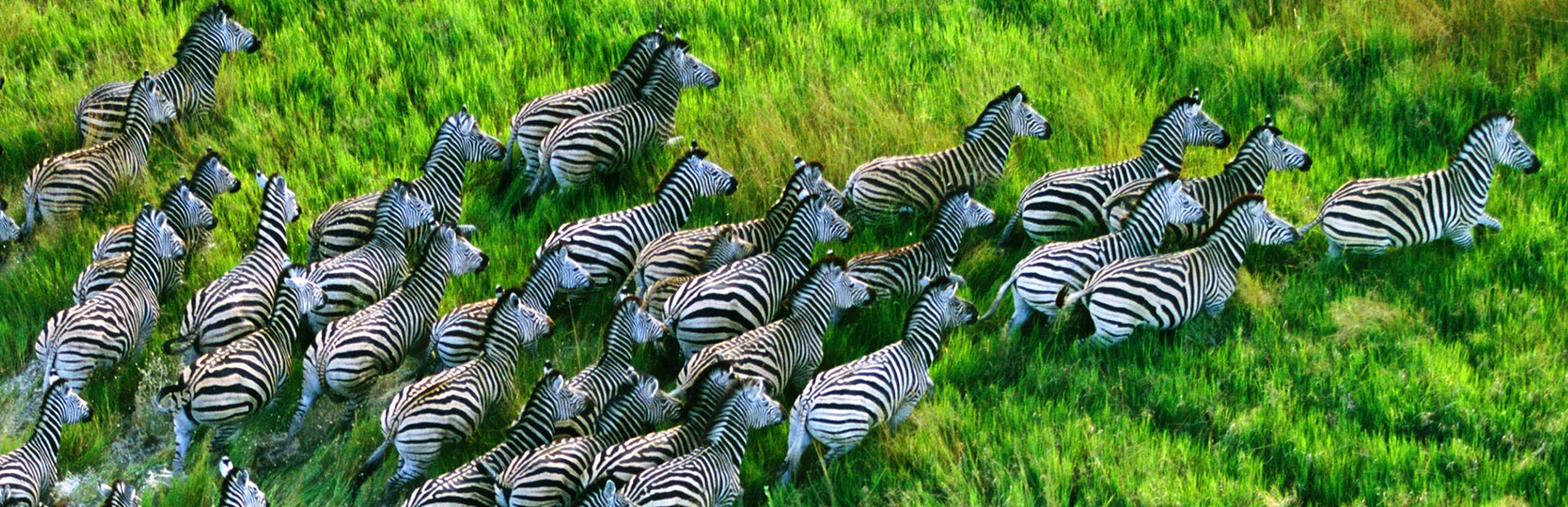 Private Jet Journeys with Abercrombie & Kent 2