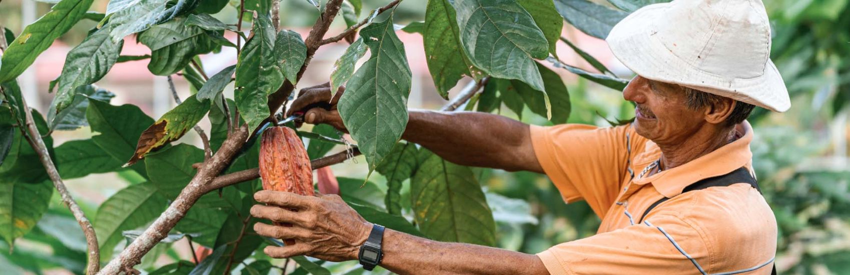 Unique Ways to Travel with Collette 3