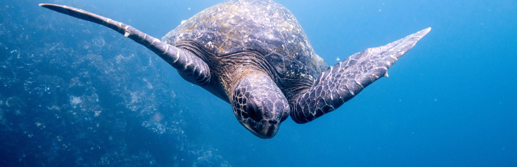 Why Travel with Collette 3