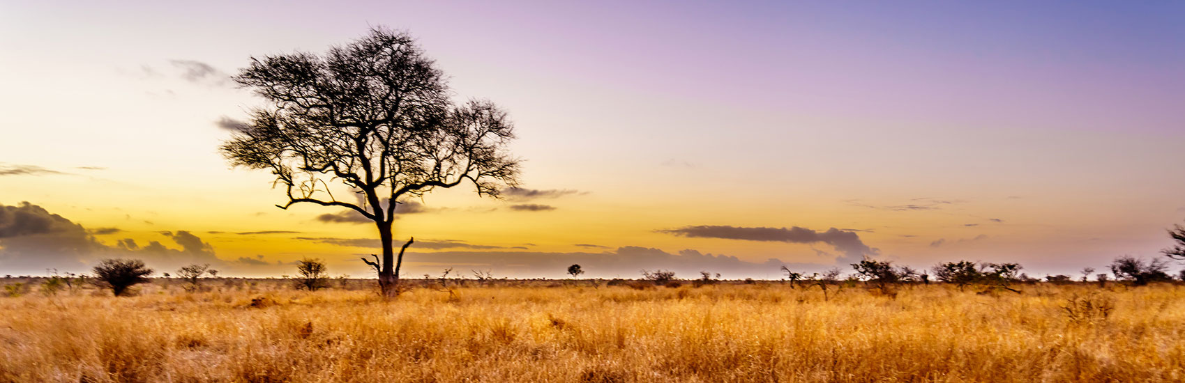 GO GUIDED: Exclusive Savings Offer to South Africa with Globus 0