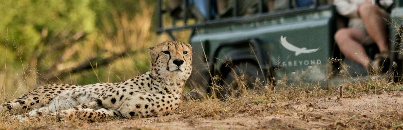 CURATED EXPERIENCES: Reawaken Your Soul in South Africa with &Beyond 1