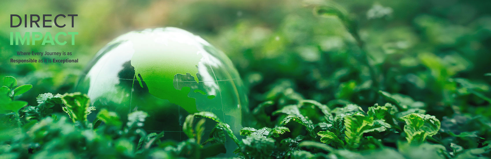 Direct Impact: A Commitment to Progress