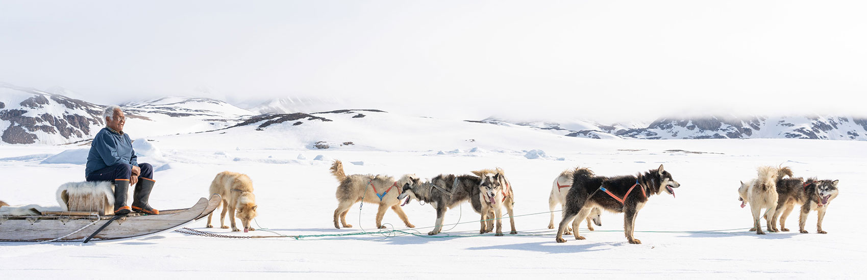 Embrace the Arctic with PONANT EXPLORATIONS 2