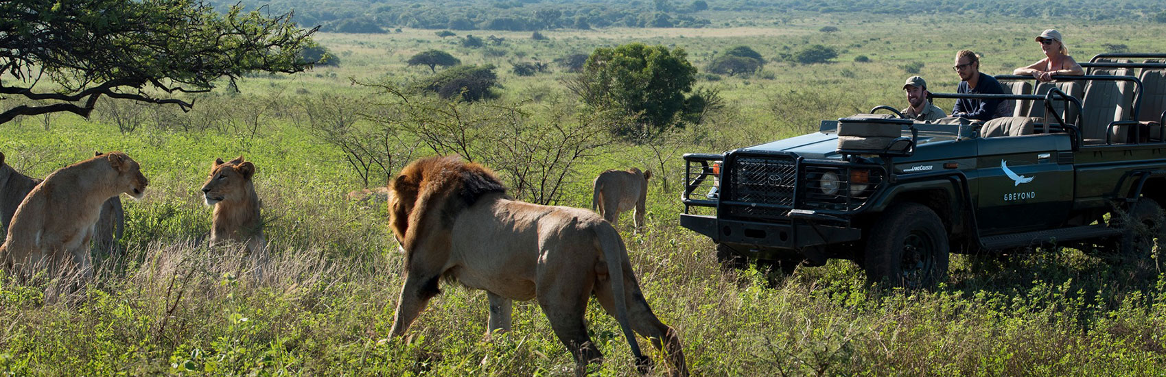 CURATED EXPERIENCES: Reawaken Your Soul in South Africa with &Beyond 3