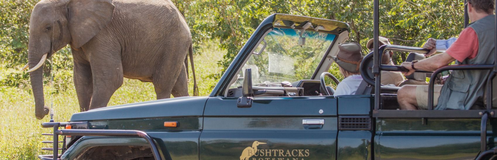 Beyond the Must-Sees: Immersive Journeys with Collette 1