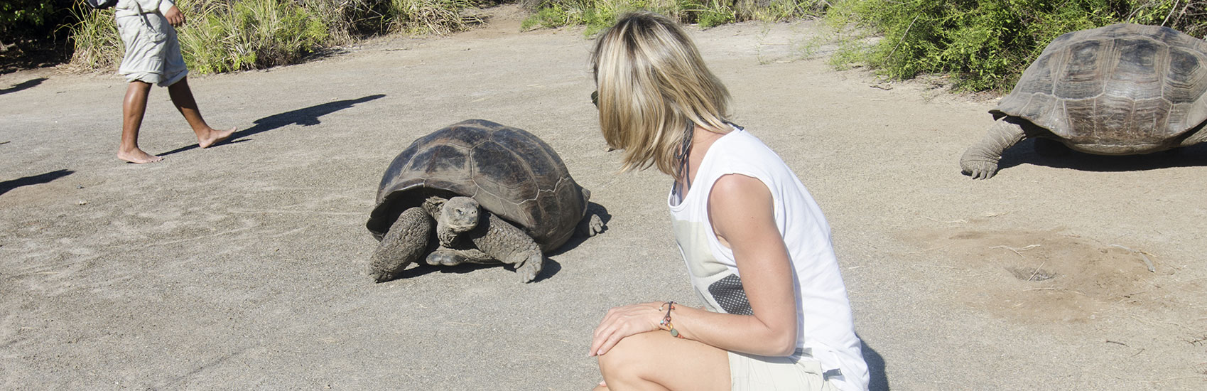 Beyond the Shore: Unforgettable Adventures with Celebrity Cruises 1