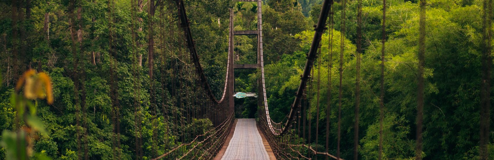 Join Thailand’s Green Revolution: Travel, Explore, and Leave a Positive Impact 1