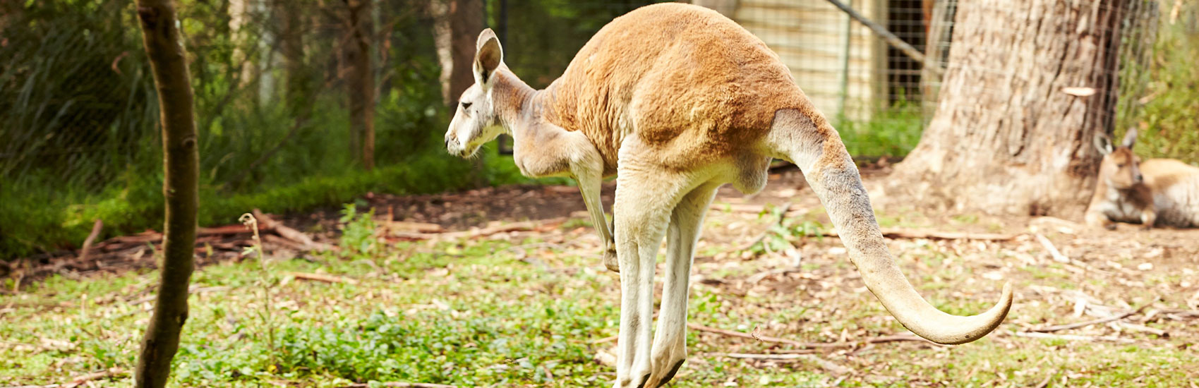 Explore the Wonders Down Under on a Princess® cruise 2