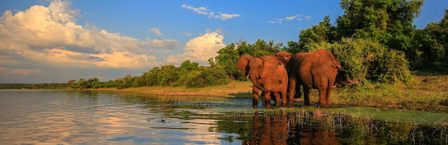 GO GUIDED: Exclusive Savings Offer to South Africa with Globus 3