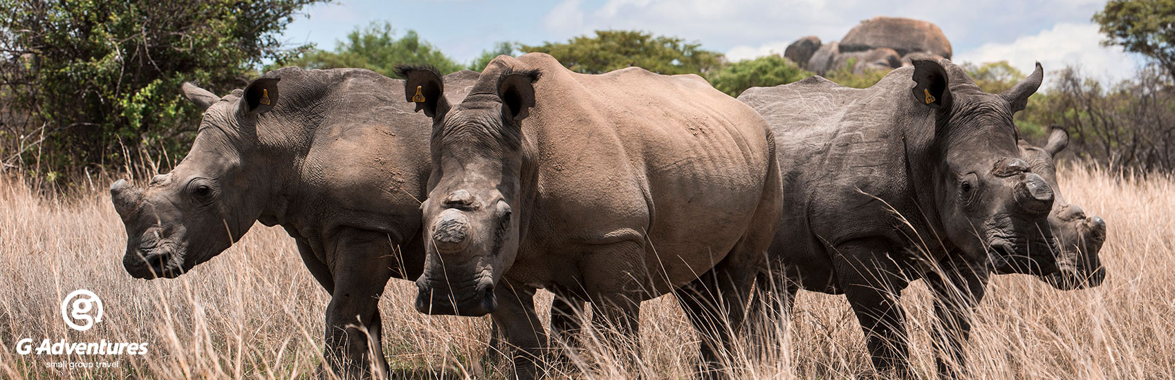 ADVENTURES UNLEASHED: Explore South Africa with G Adventures 3