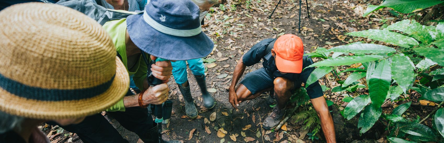 Beyond the Must-Sees: Immersive Journeys with Collette 3