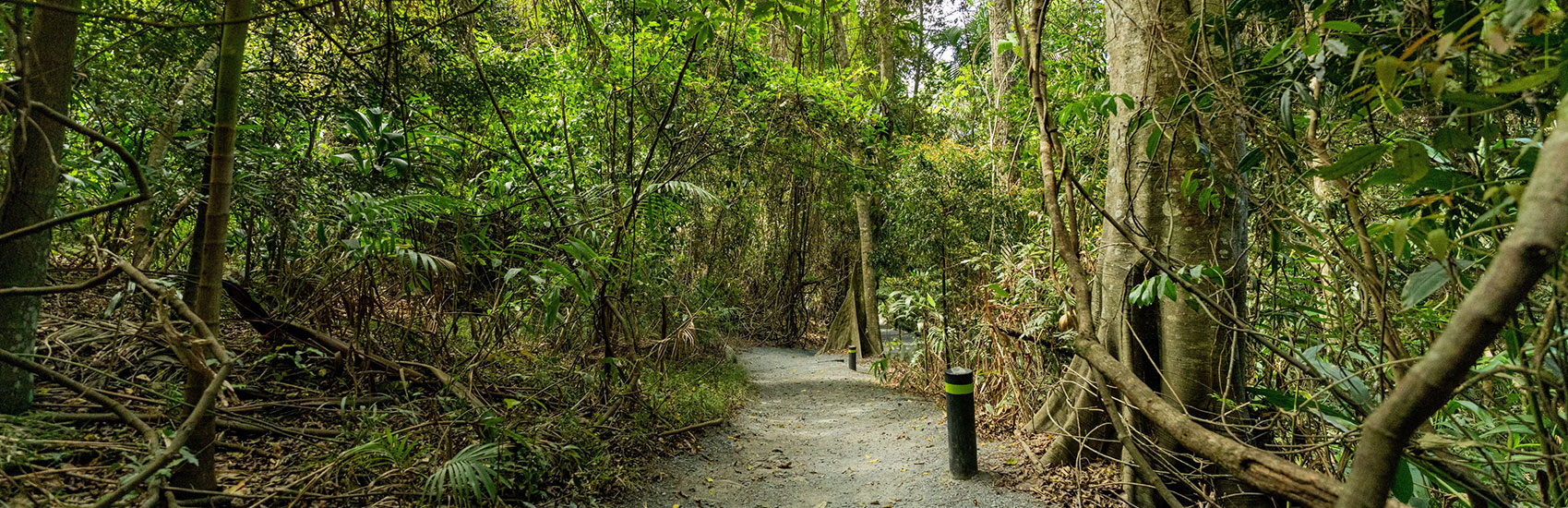 Explore Queensland: Gold Coast to Port Douglas 2