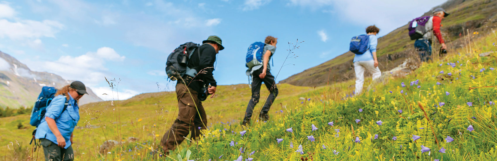 The Wild Frontier of the Arctic with<br>National Geographic-Lindblad Expeditions 2