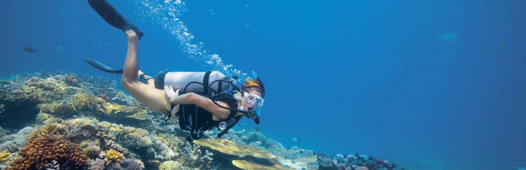 Lizard Island 4