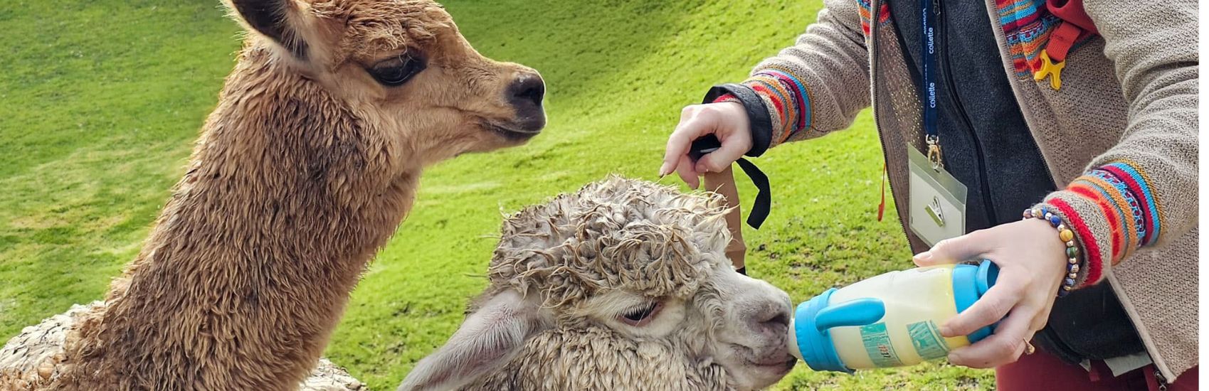 Unique Ways to Travel with Collette 2