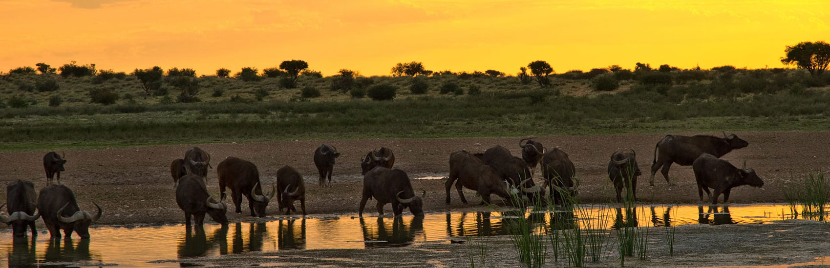 CURATED EXPERIENCES: Reawaken Your Soul in South Africa with &Beyond 2