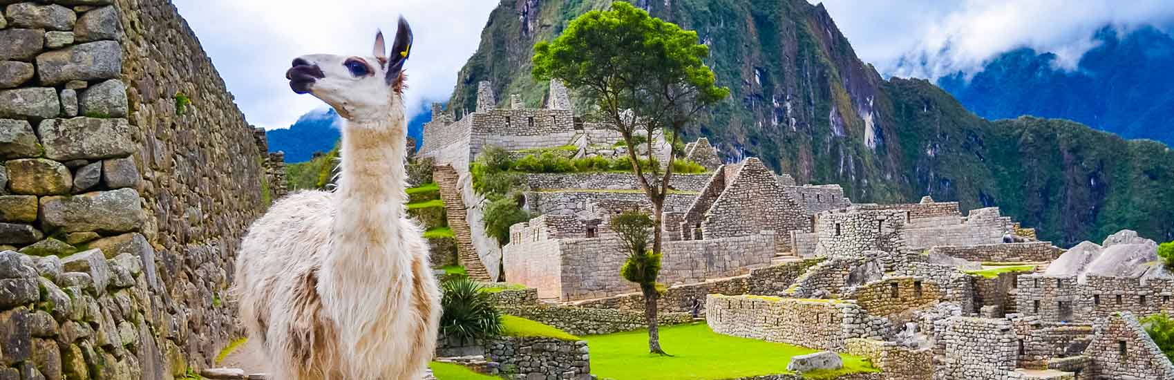Explore farther inland on a Cruisetour with Princess® 5