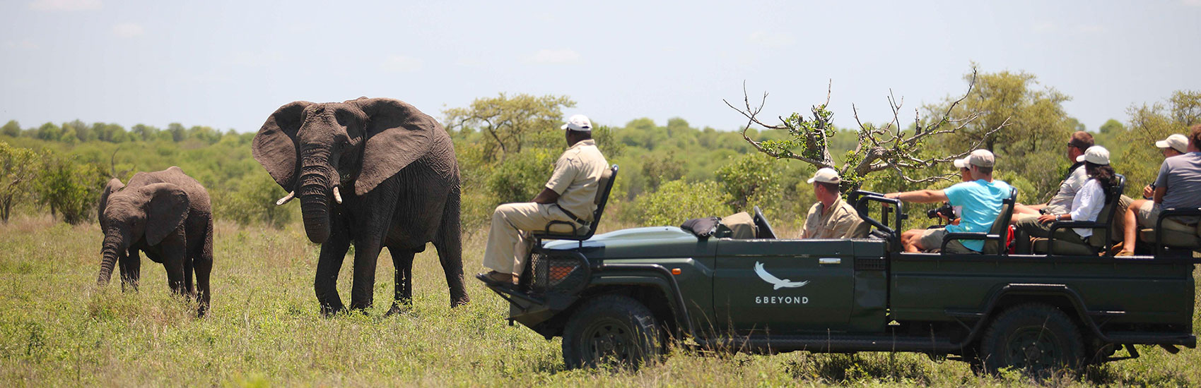 CURATED EXPERIENCES: Reawaken Your Soul in South Africa with &Beyond 0