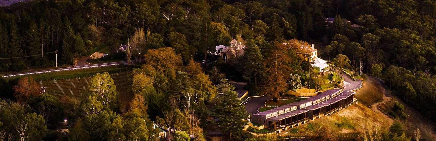 Sequoia Lodge 5