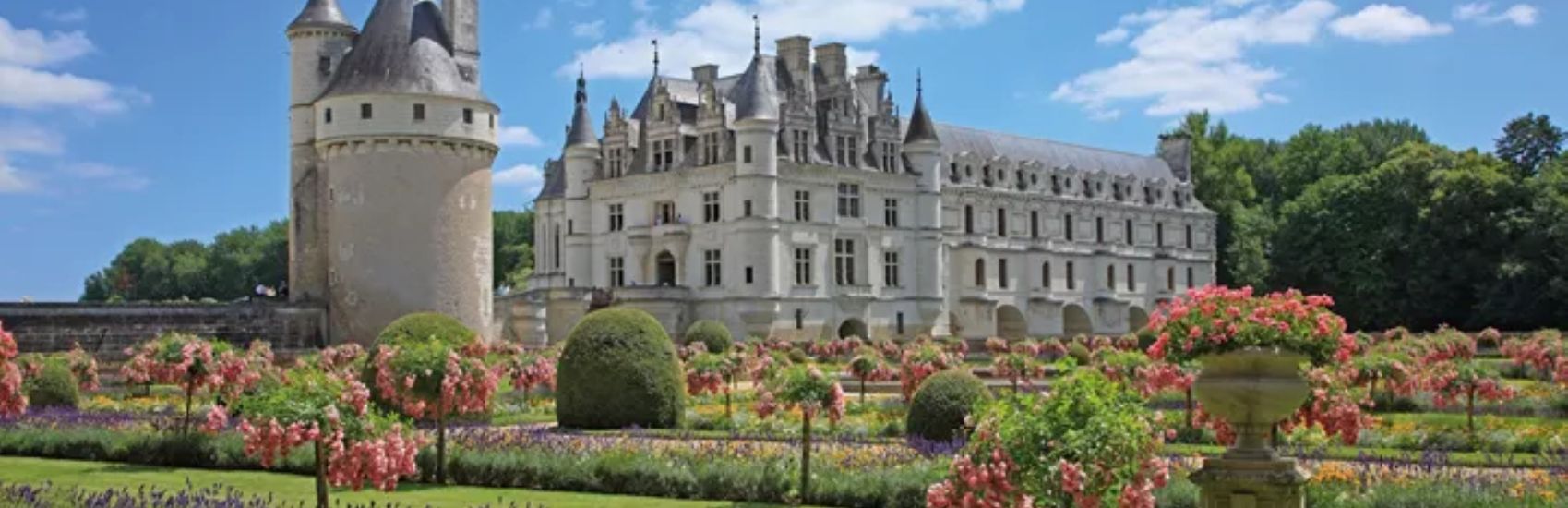 Incredible, Unique Experiences with Insight's Special Interest Tours 0