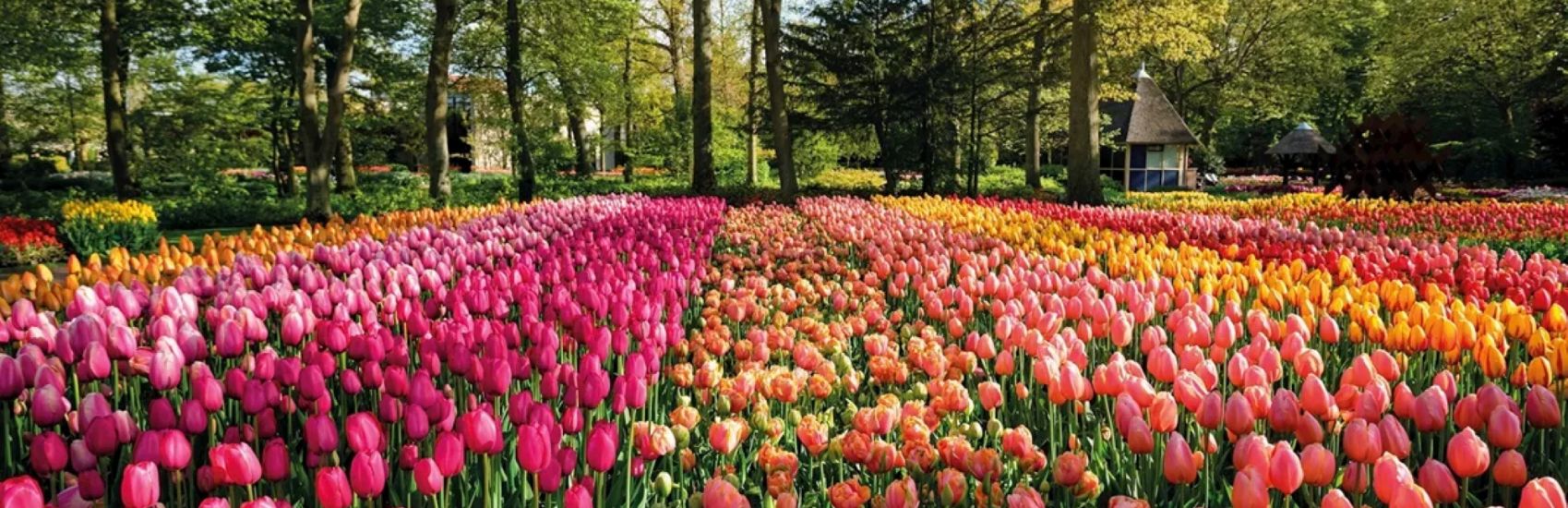 Incredible, Unique Experiences with Insight's Special Interest Tours 3