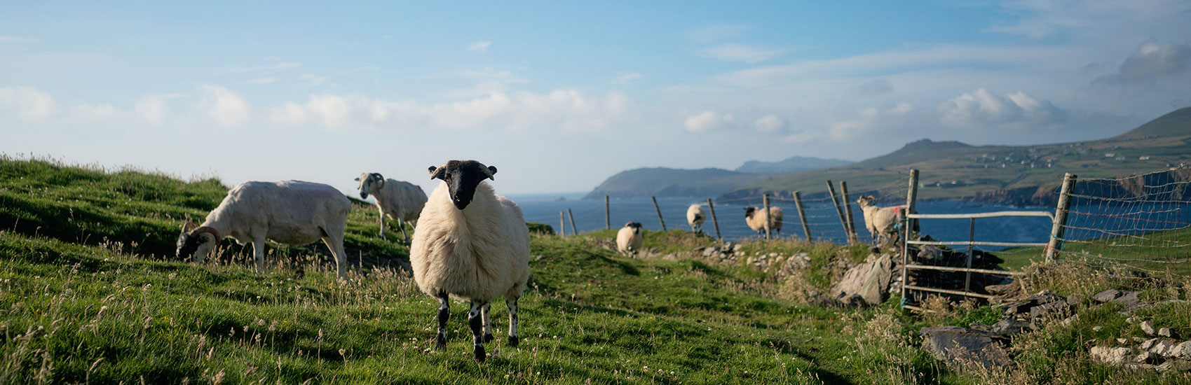 Black Friday Savings with Collette 1