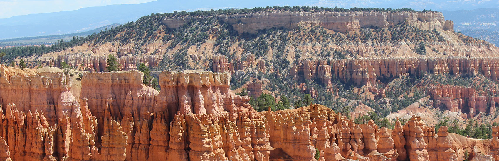 Beyond the Shore: Unforgettable Adventures with Celebrity Cruises