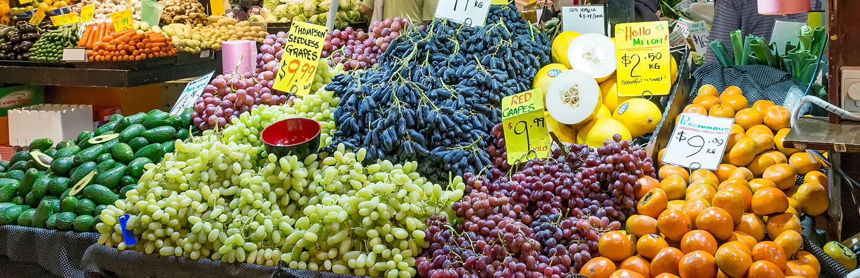 South Australia Discovery: Wine, Wildlife, and Wonders 1