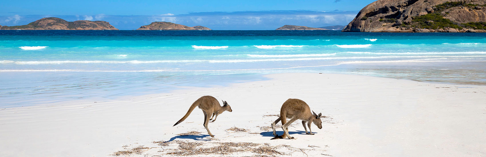 Vineyards, Wildlife, and Coastal Bliss: South & West Australia 2