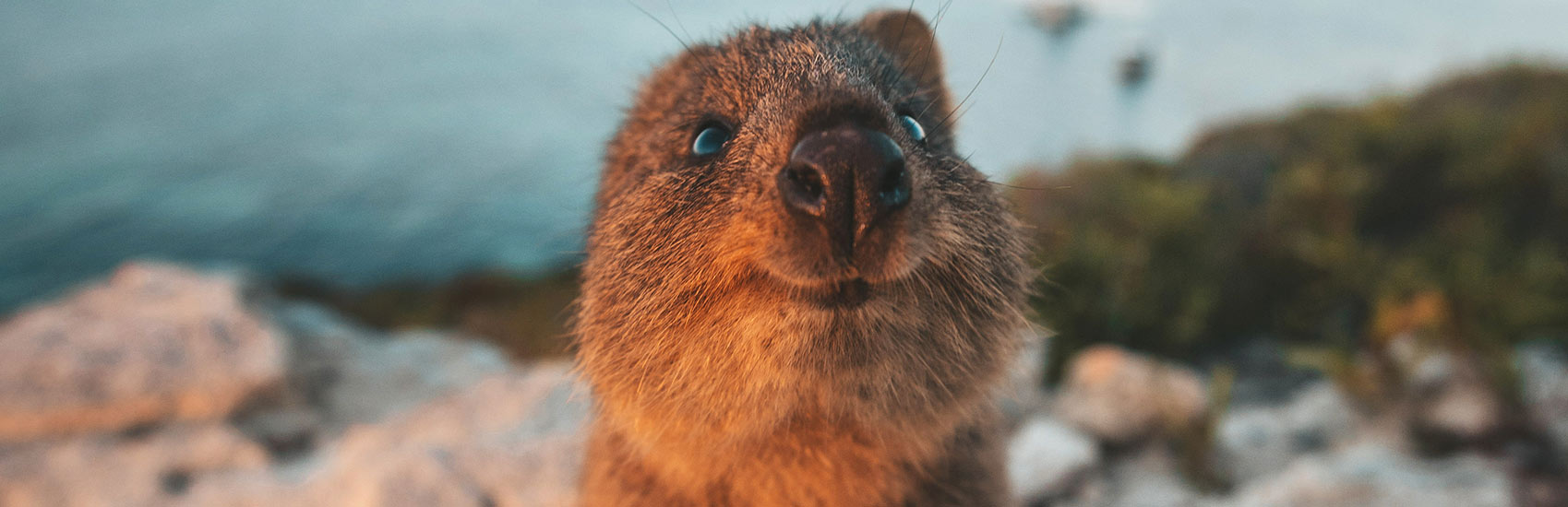 Vineyards, Wildlife, and Coastal Bliss: South & West Australia 5